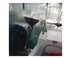 Bayliner 2002WA (2014) For Sale