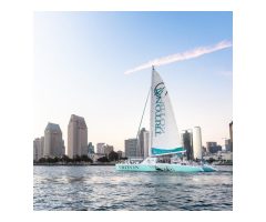 Triton Charters